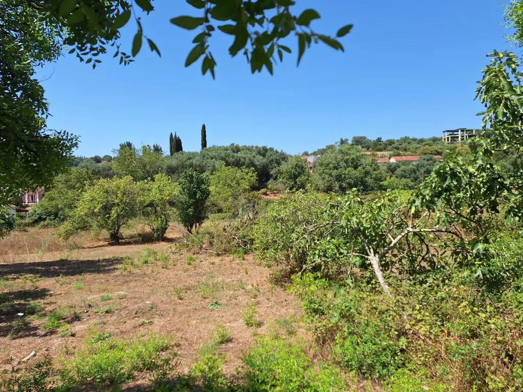 Land Of 2500 M² In Corfu