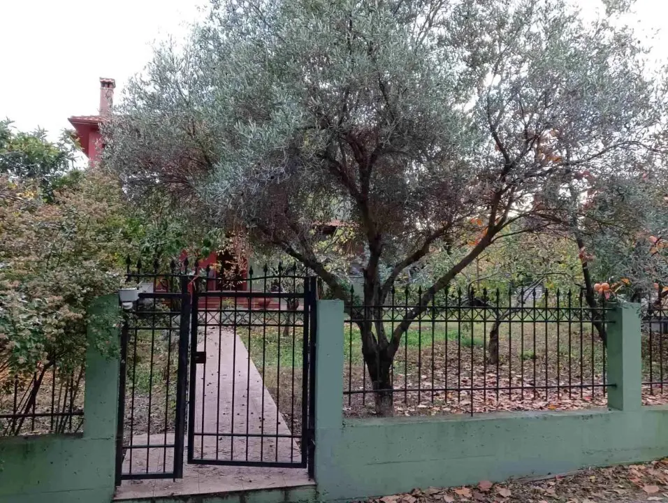 Villa Of 300 M² In Athos, Chalkidiki