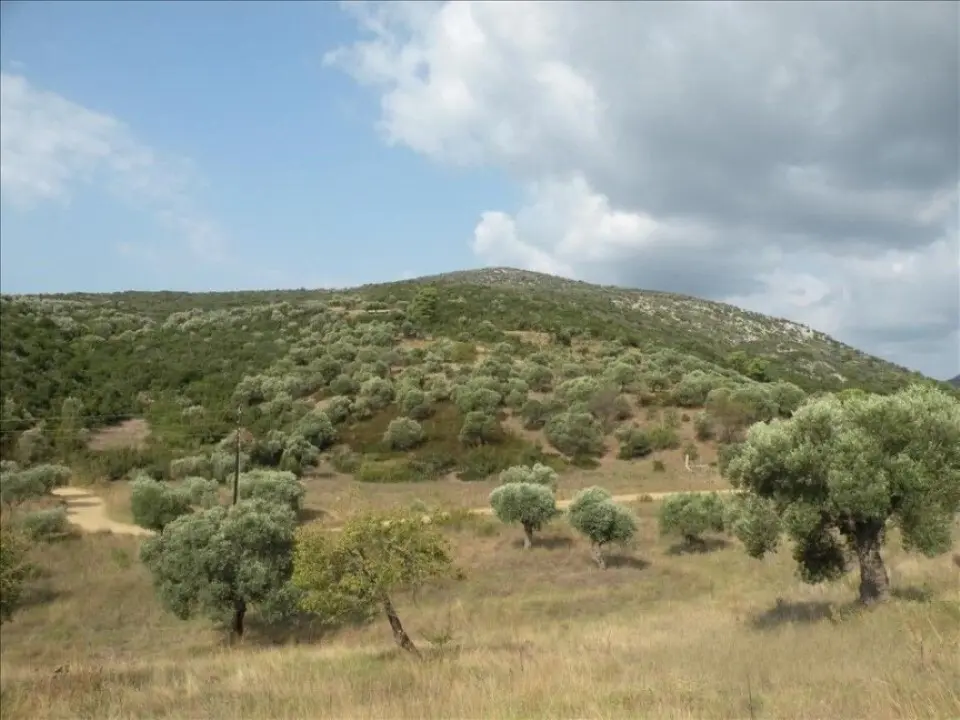 Land Of 7500 M² In Sithonia, Chalkidiki