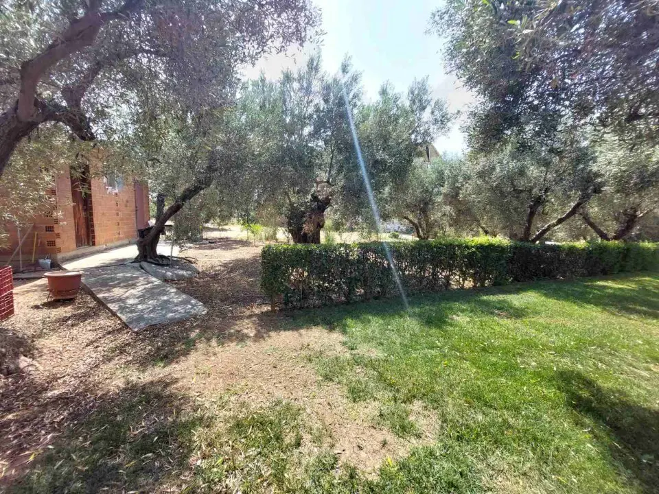 Land Of 19000 M² In Sithonia, Chalkidiki