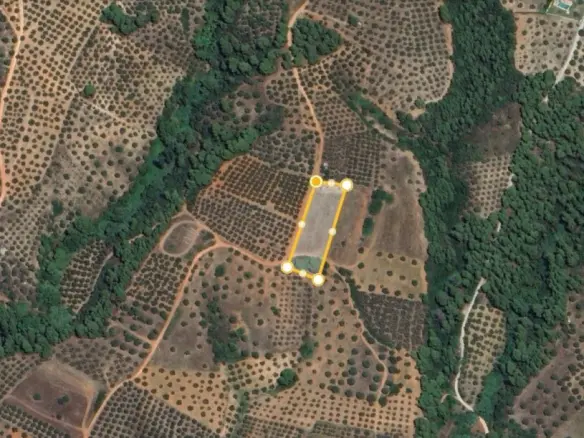 Talamh 4132 M² I Sithonia, Chalkidiki