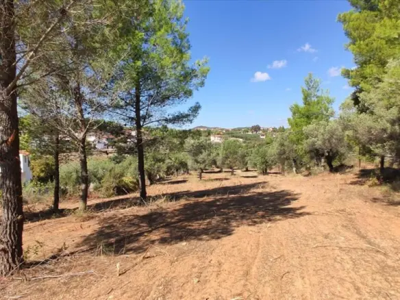 Land Of 3208 M² In Sithonia, Chalkidiki