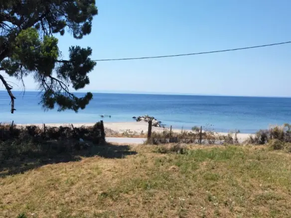 Land In Sithonia, Greece
