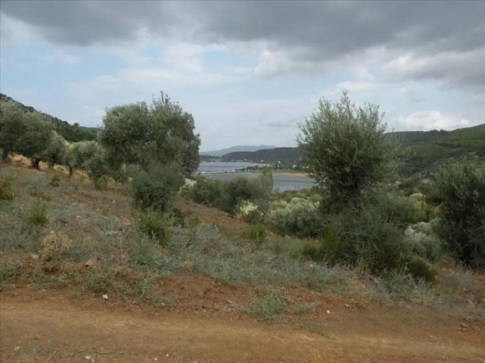 Land Of 7500 M² In Sithonia, Chalkidiki