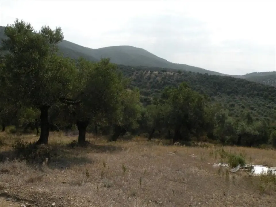 Land Of 7500 M² In Sithonia, Chalkidiki