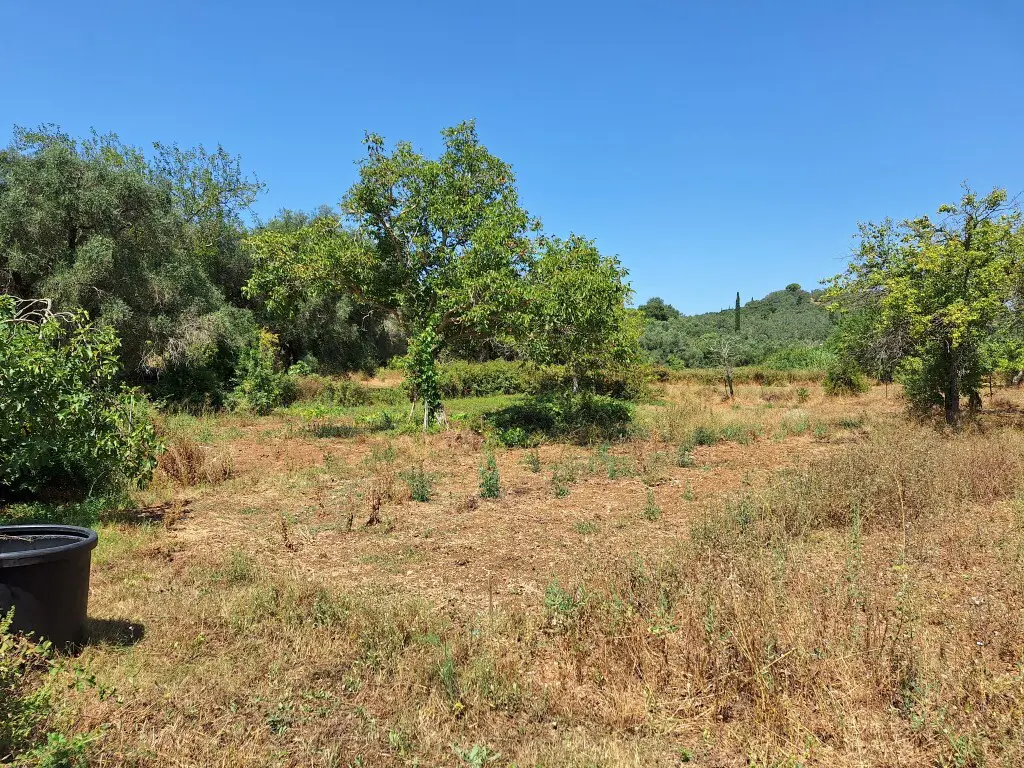 Land Of 2500 M² In Corfu