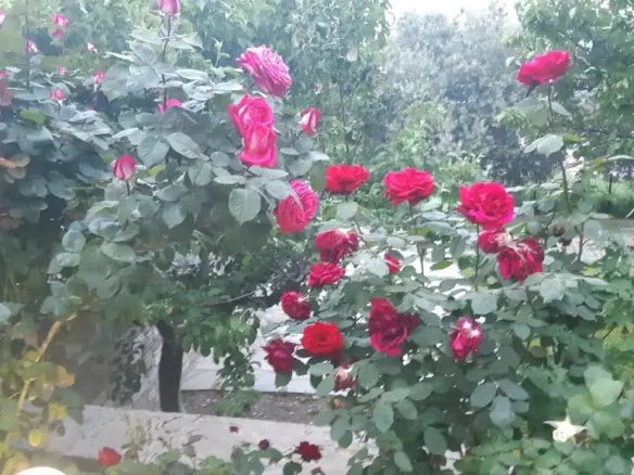 6-bedroom Detached House In Vasilika, Greece (230 M²)