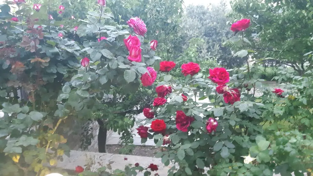 Teach Scoite 230 M² i Thessaloniki