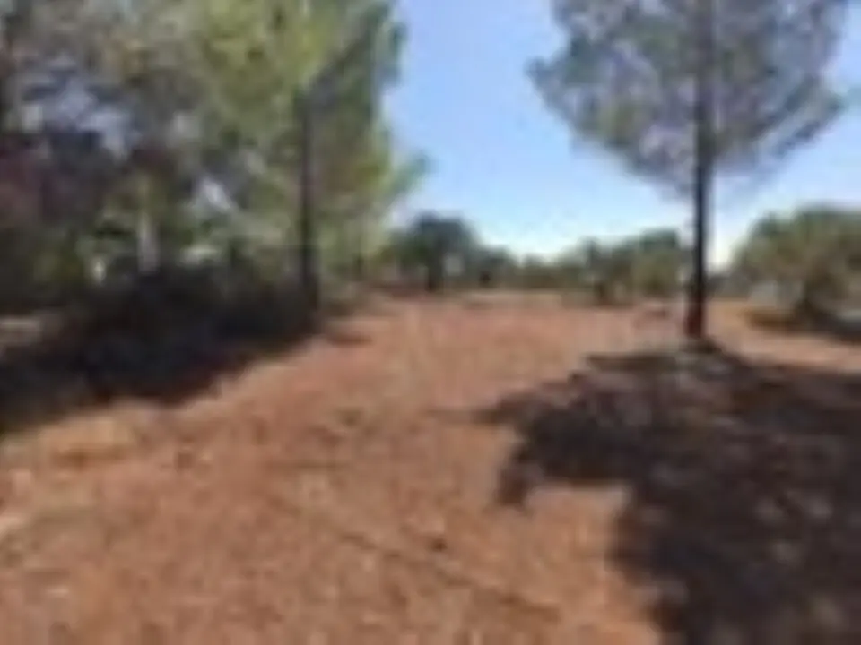 Land Of 3208 M² In Sithonia, Chalkidiki