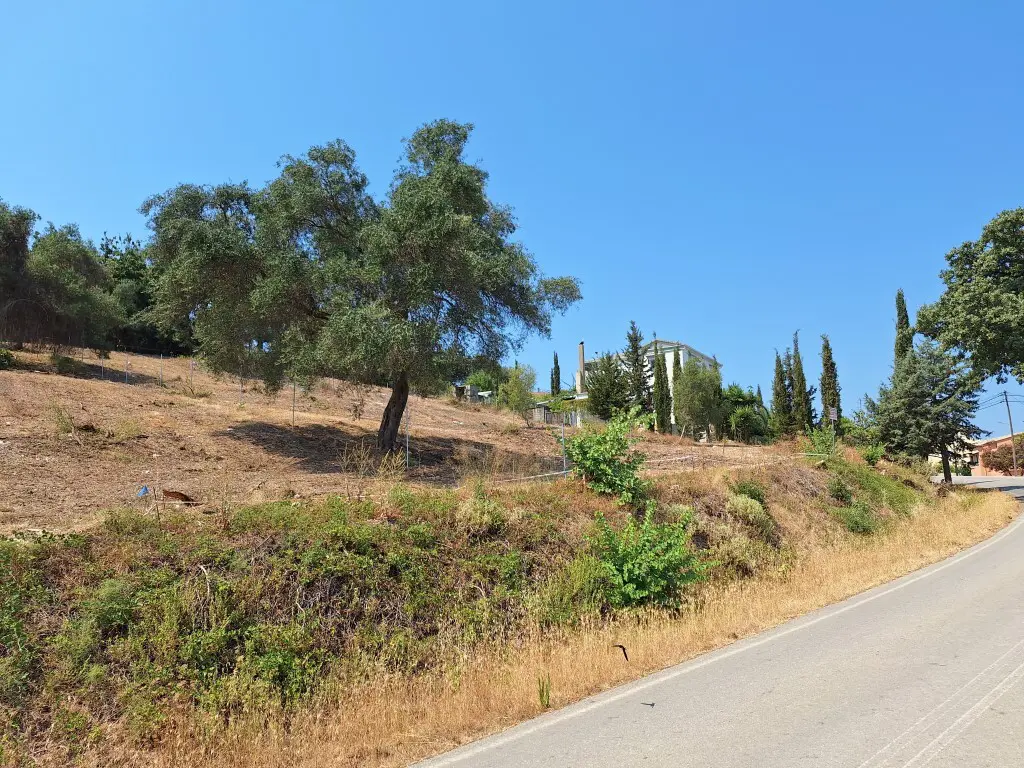 Land Of 2776 M² In Corfu