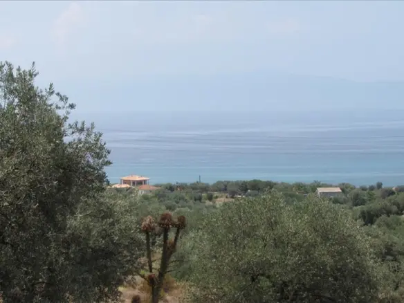 Terrain de 18 000 m² à Athos, Chalcidique