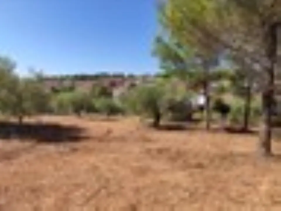 Land Of 3208 M² In Sithonia, Chalkidiki