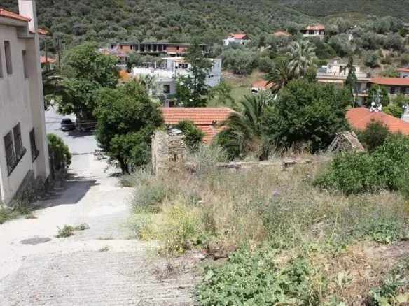 Terrain de 18 000 m² à Athos, Chalcidique
