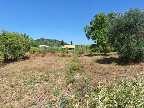 Land In Corfu, Greece