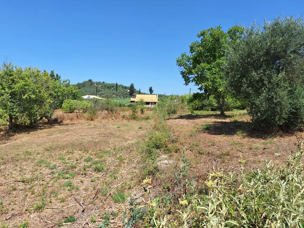 Land Of 2500 M² In Corfu