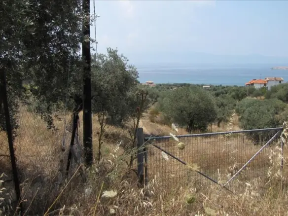 Land In Aristotle, Greece