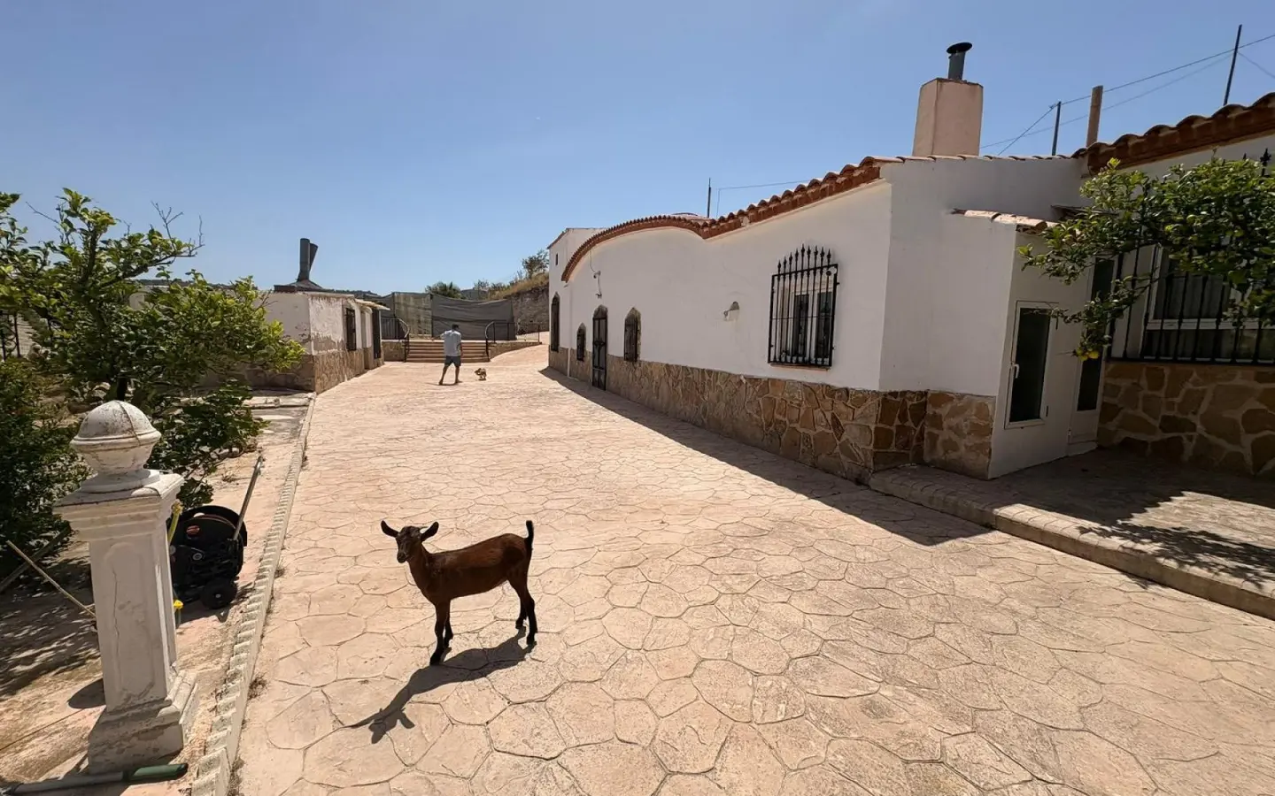 Country House Of 359 M² In Jumilla, Spain