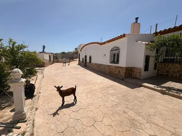 6-bedroom Country House In Jumilla, Spain (359 M²)
