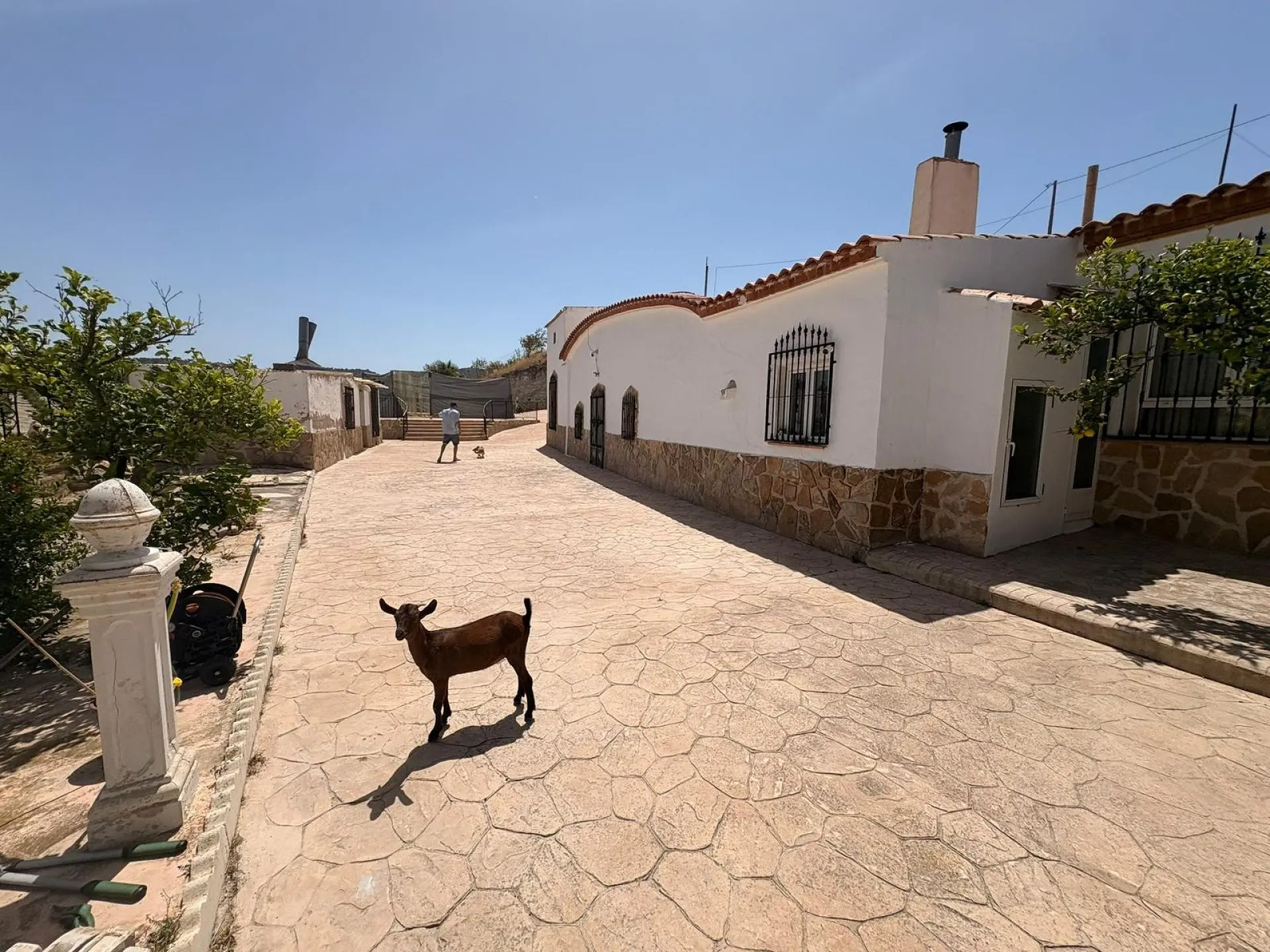 Country House Of 359 M² In Jumilla, Spain