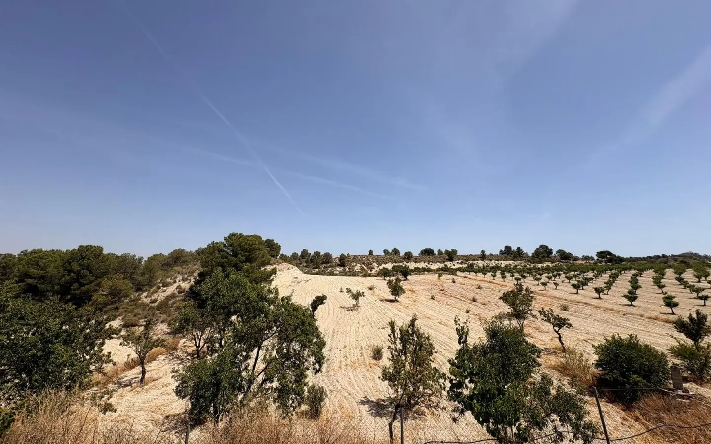 Country House Of 359 M² In Jumilla, Spain