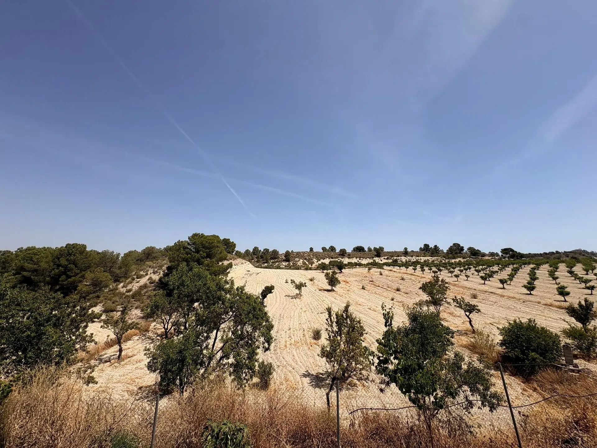 Country House Of 359 M² In Jumilla, Spain