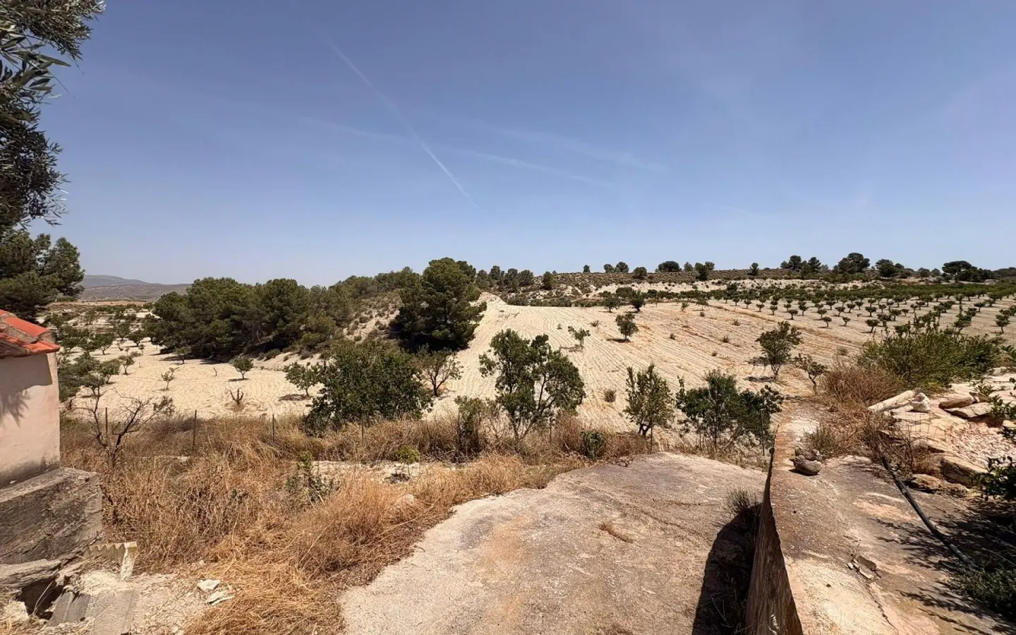 Country House Of 359 M² In Jumilla, Spain