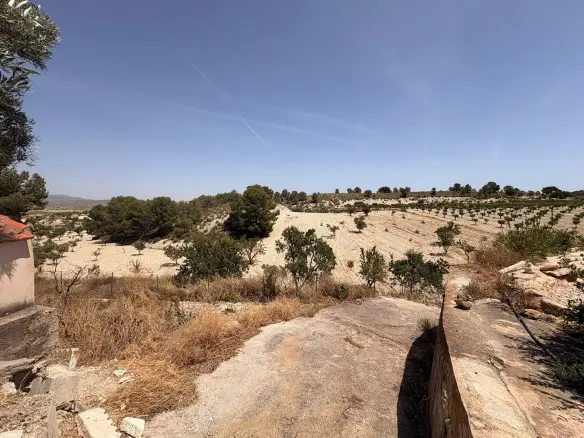 6-bedroom Country House In Jumilla, Spain (359 M²)