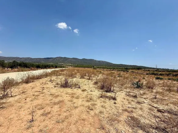 Land In Salinas, Spain (11.883 M² Plot)