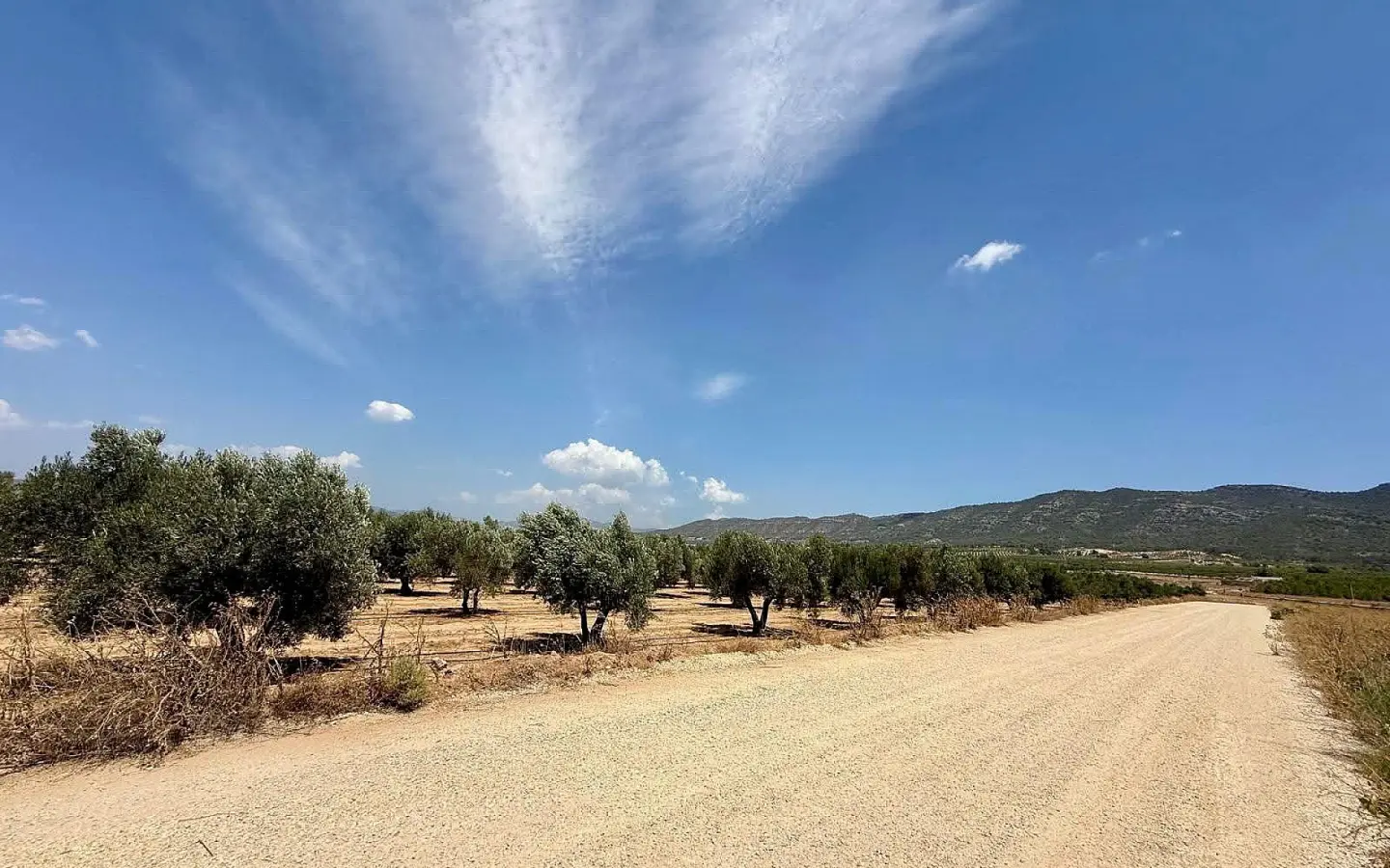 Land Of 0 M² In Salinas, Spain