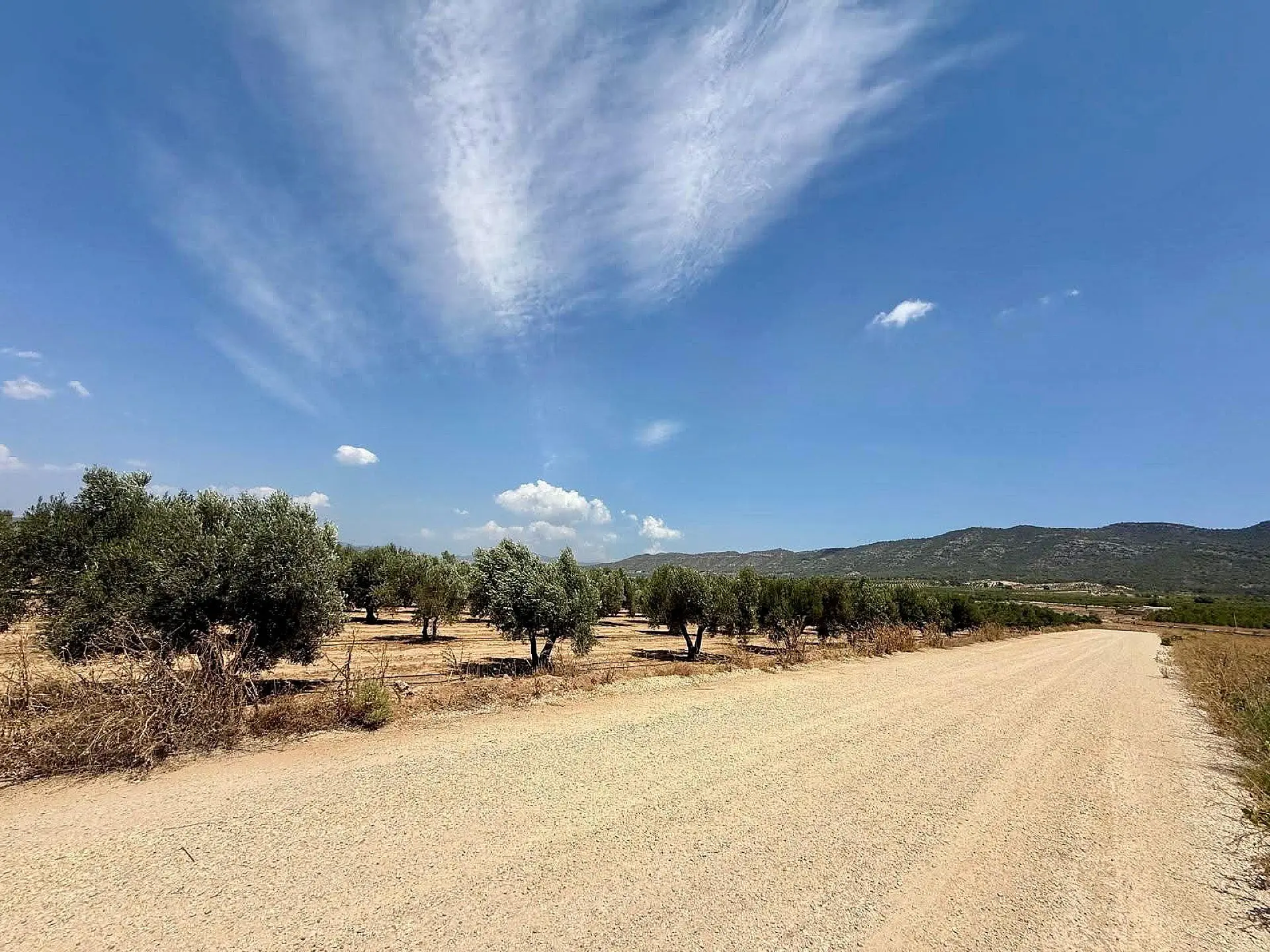 Land Of 0 M² In Salinas, Spain