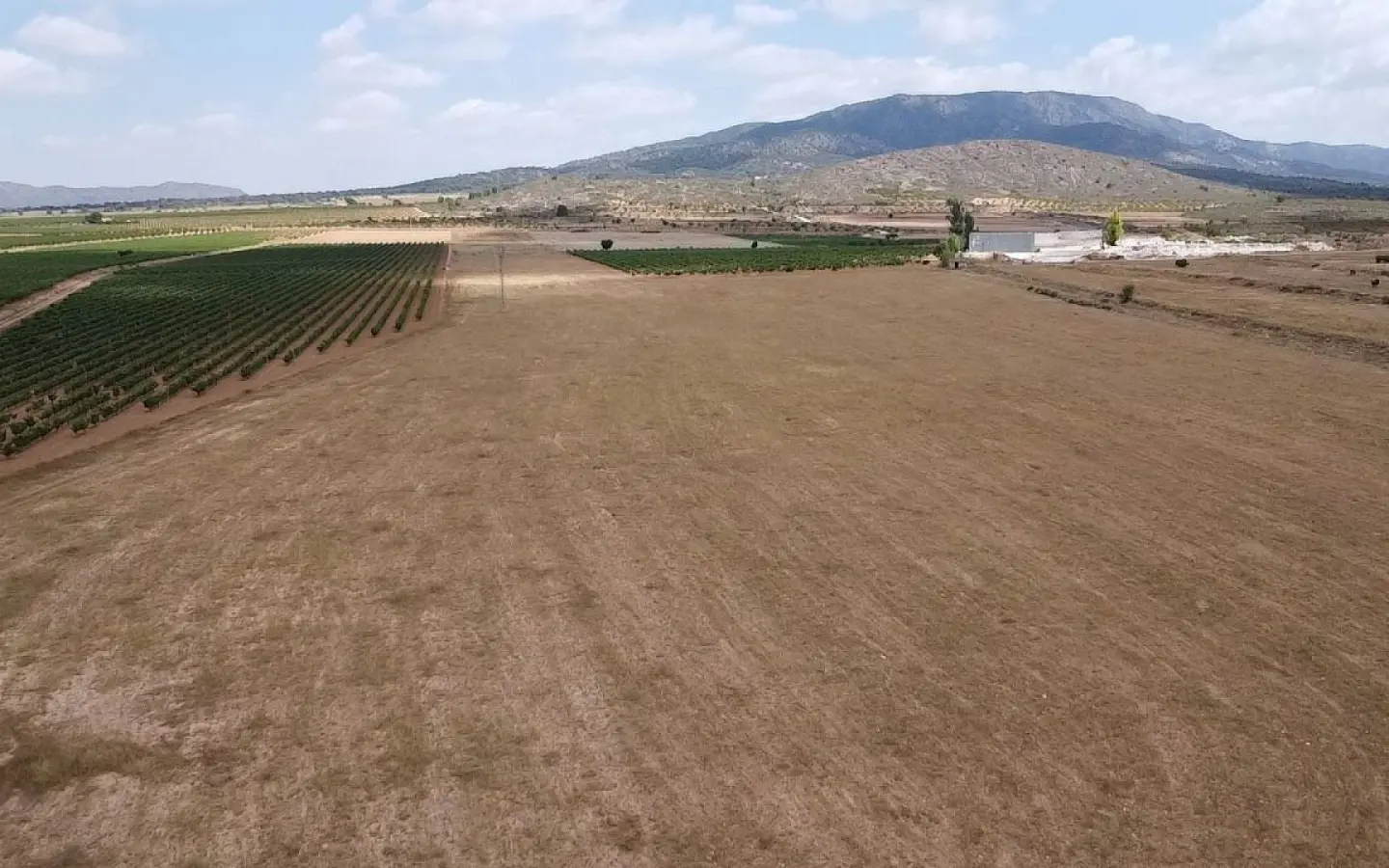 3-bedroom Detached Villa In Pinoso, Spain (115 M²)