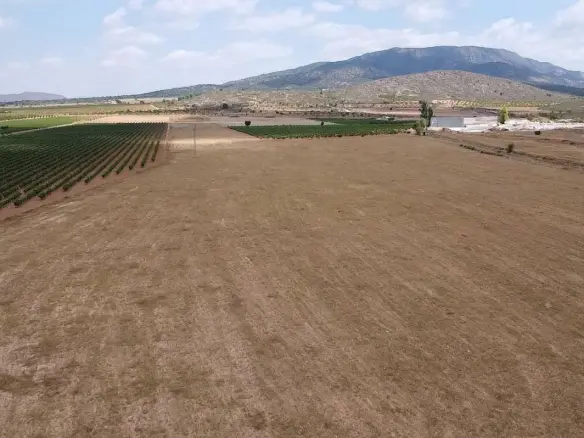 3-bedroom Detached Villa In Pinoso, Spain (115 M²)