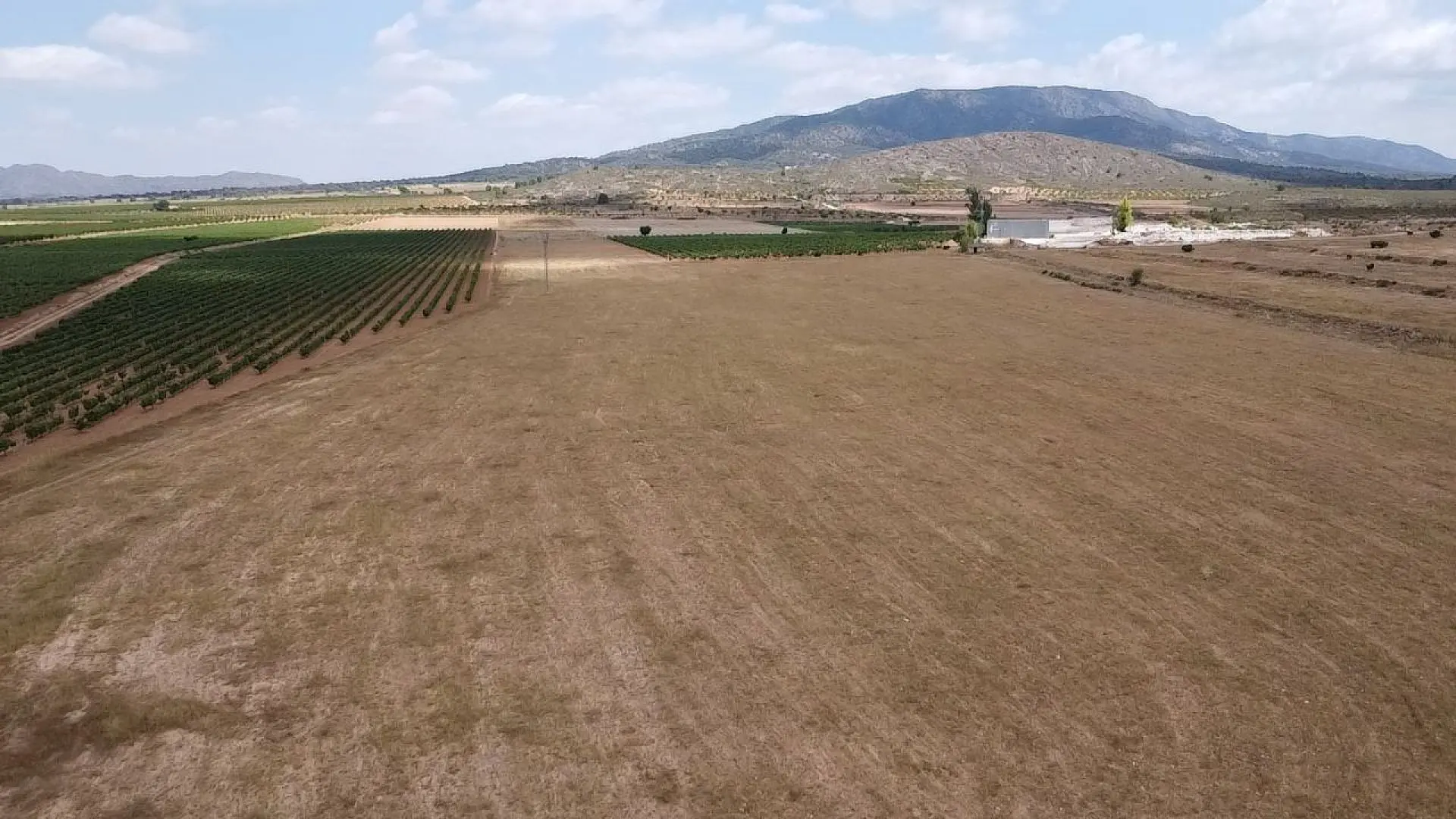 Detached Villa Of 115 M² In Pinoso, Spain