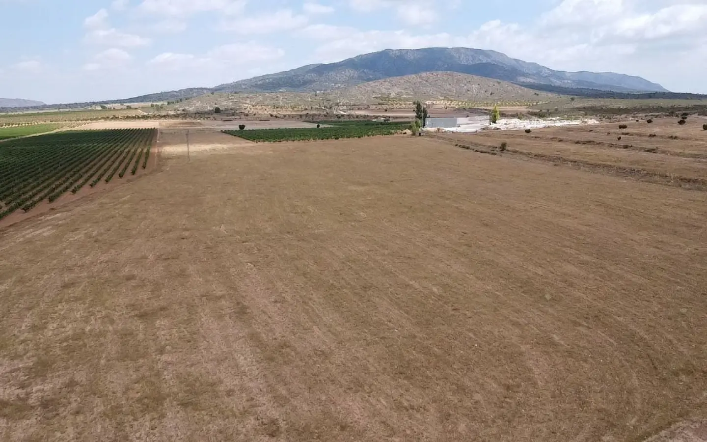 3-bedroom Detached Villa In Pinoso, Spain (115 M²)