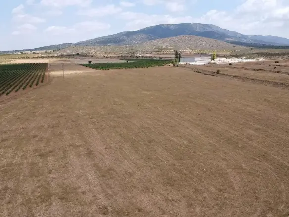 3-bedroom Detached Villa In Pinoso, Spain (115 M²)