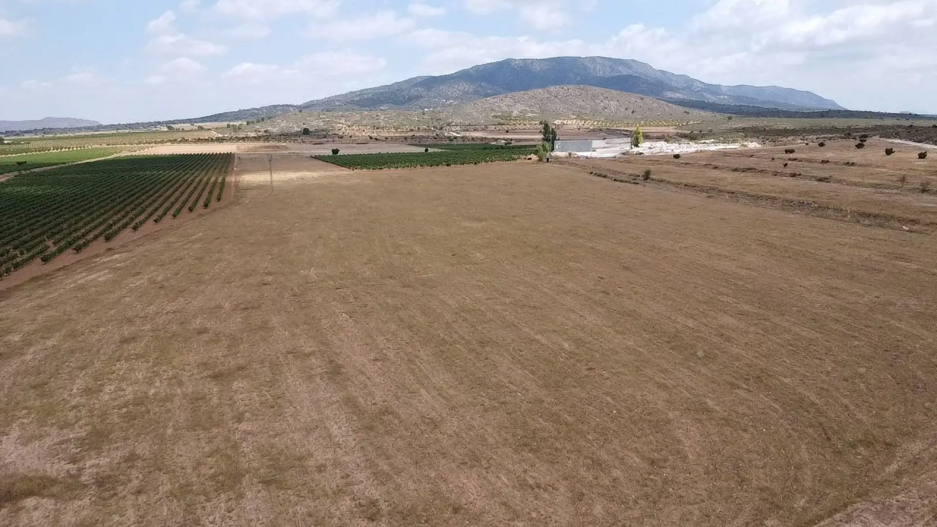Detached Villa Of 115 M² In Pinoso, Spain