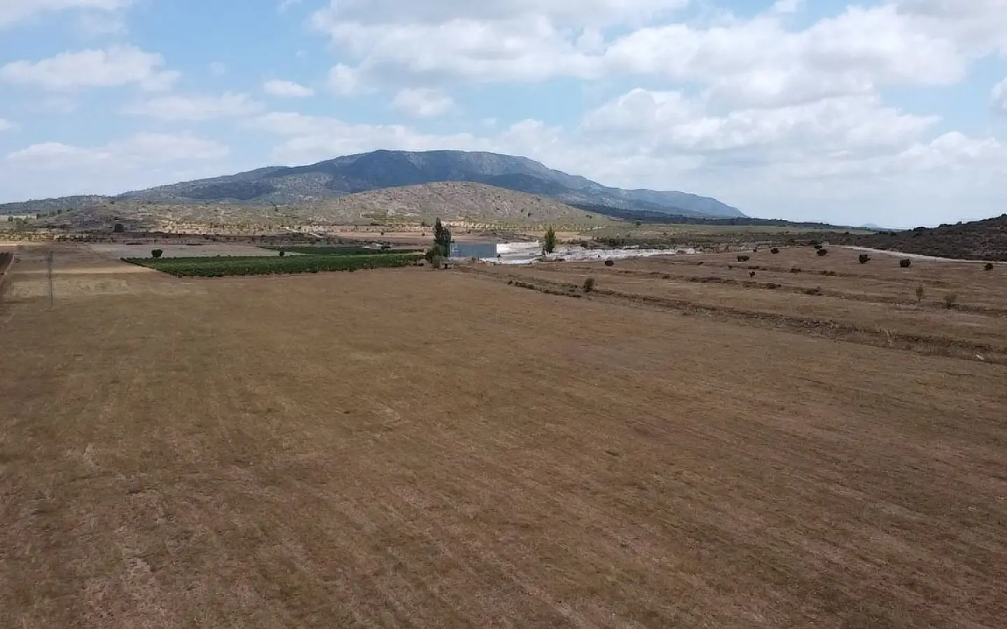 3-bedroom Detached Villa In Pinoso, Spain (115 M²)