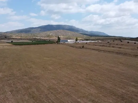 3-bedroom Detached Villa In Pinoso, Spain (115 M²)