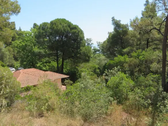 1-bedroom Detached House In Sithonia, Greece (45 M²)
