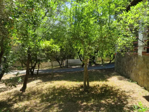 1-bedroom Detached House In Sithonia, Greece (45 M²)