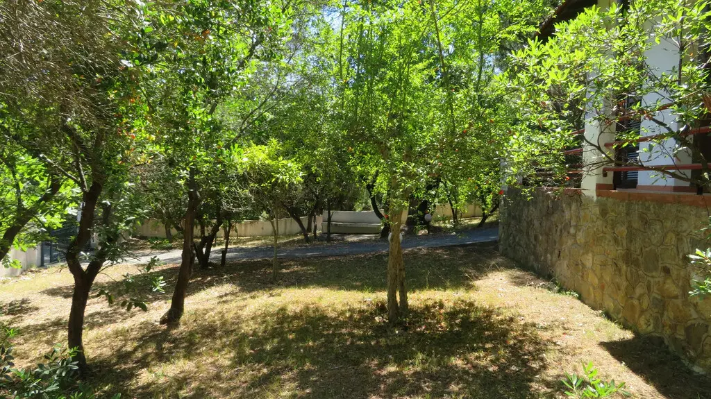 Detached House Of 45 M² In Sithonia, Chalkidiki