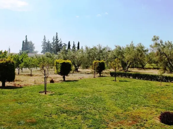 Land In Poligiros, Greece