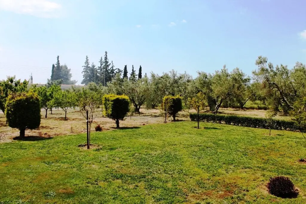Land Of 19000 M² In Sithonia, Chalkidiki