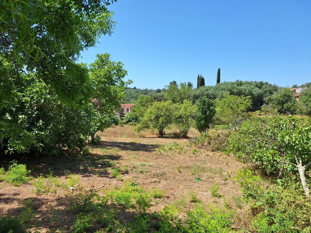 Land Of 2500 M² In Corfu