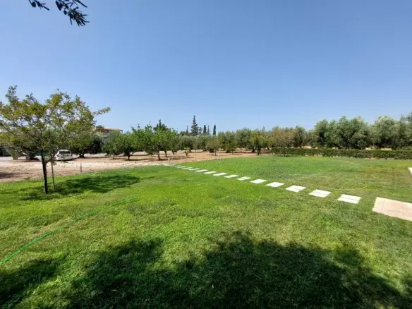 Talamh 19000 M² I Sithonia, Chalkidiki