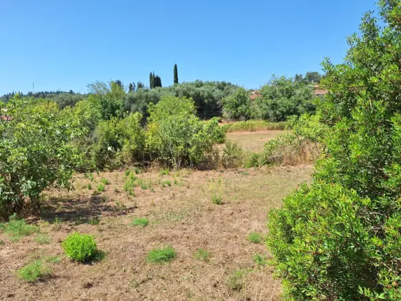 Talamh de 2500 M² i gCorfu