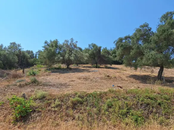 Land In Corfu, Greece