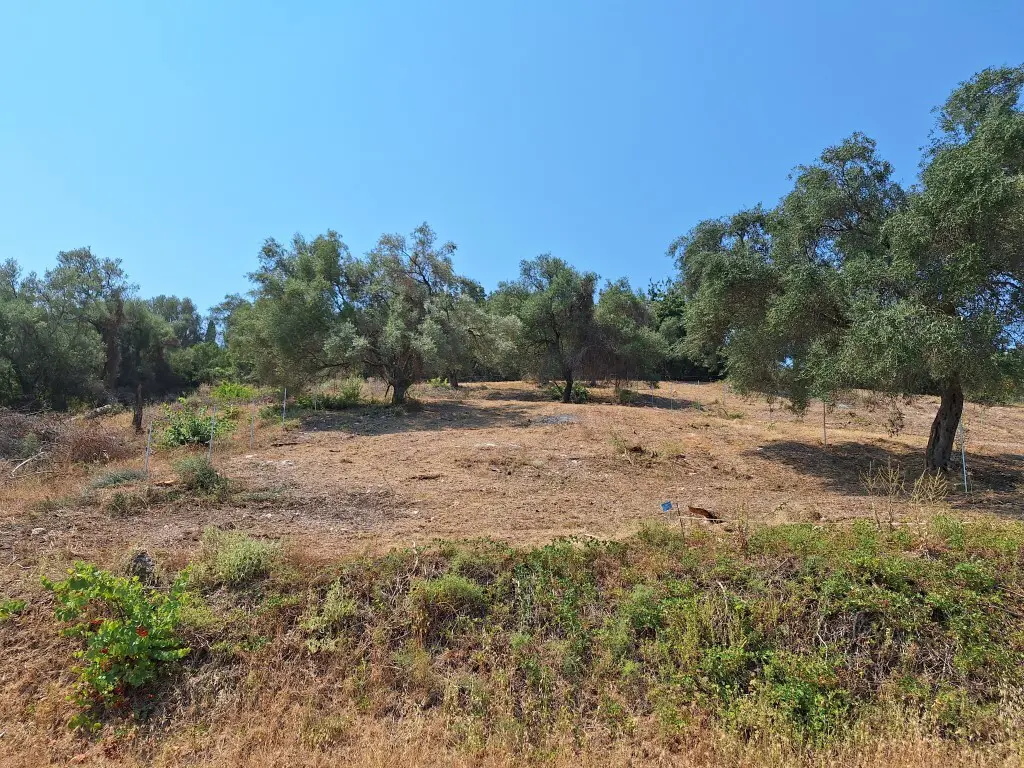 Land Of 2776 M² In Corfu