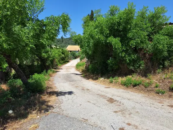 Land In Corfu, Greece