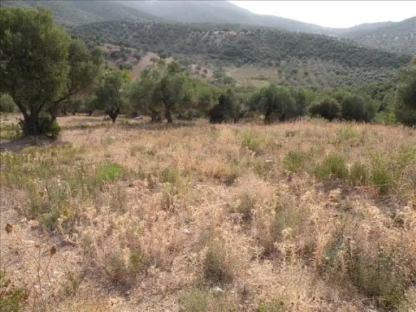 Land In Sithonia, Greece
